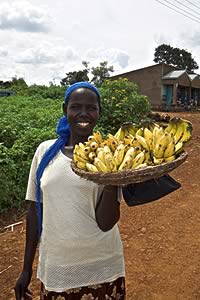 kenyan bananas